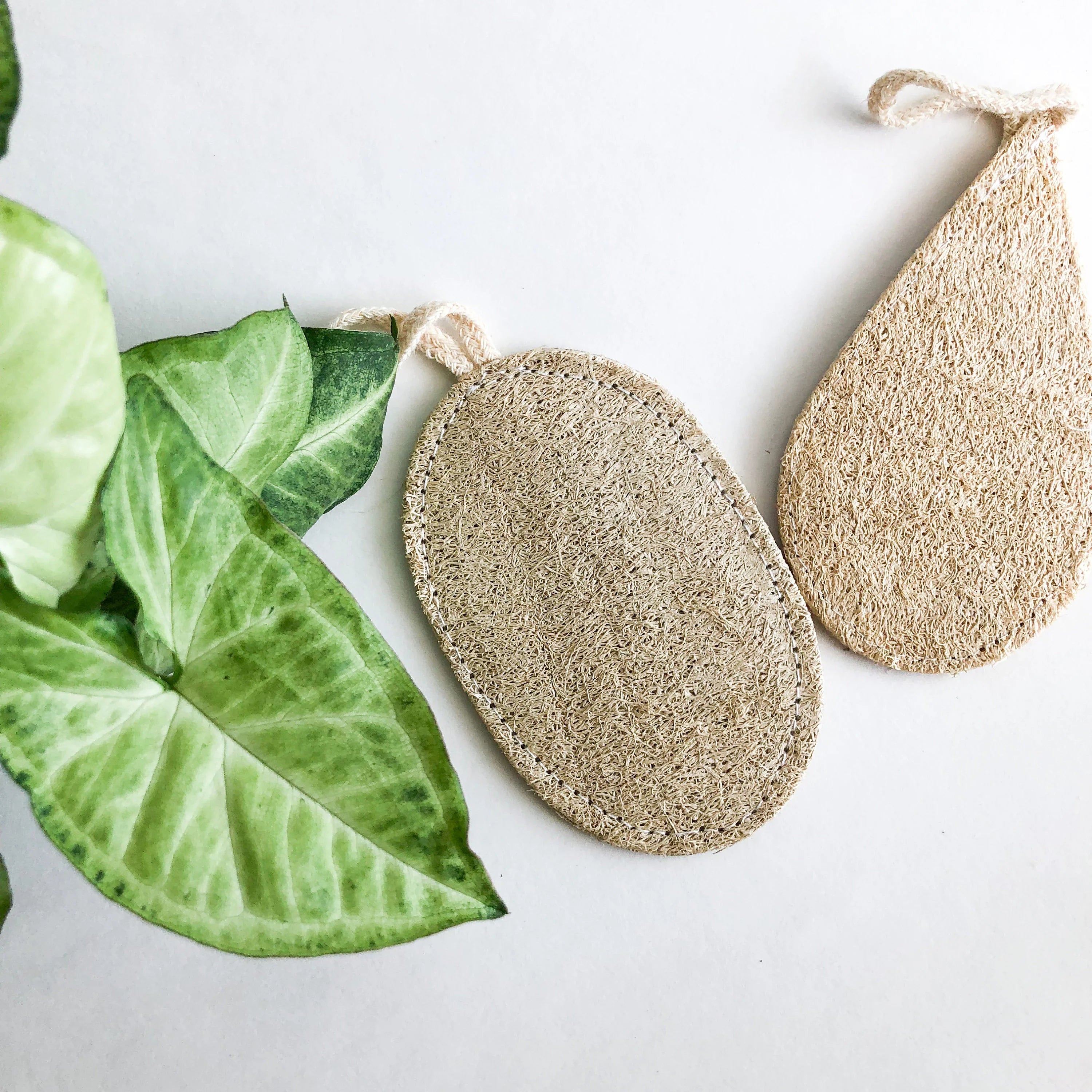 Natural Biodegradable Loofah Sponge - Zero Waste Plastic Free Organic Scrub - Sustainable Loofah Dish Sponge - Set of 3-3